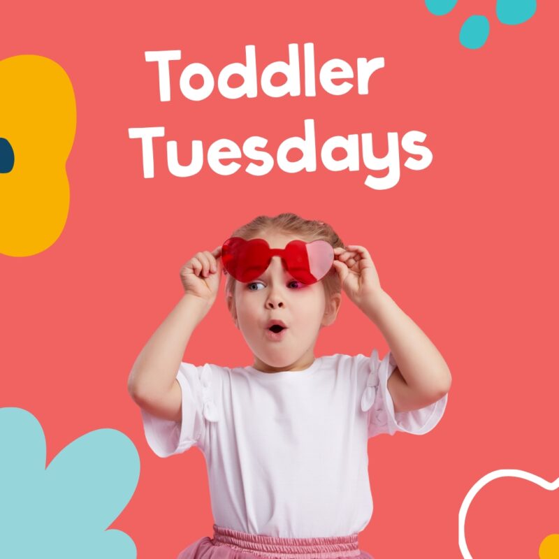 Kids Club | Johnsonville Shopping Centre